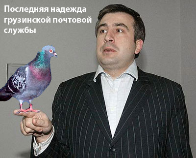 Последняя надежда