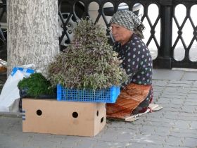 Старушка. Фото: Мария Петрова