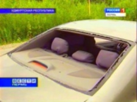 Заднее стекло расстрелянного автомодиля. Фото с сайта www.perm.rfn.ru