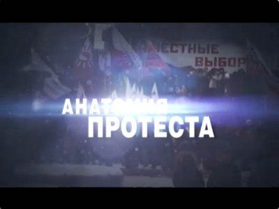 "Анатомия протеста". Фото: forsmi.ru