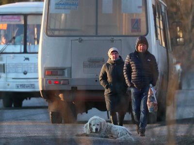 Фото: Владимир Смирнов / ТАСС