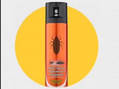 Баллончик. Фото: Яндекс.Маркет Баллончик. Фото: Яндекс.Маркет