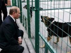 Путин и собака. Фото: newsru.com