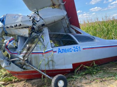 Место крушения легкомоторного самолета "Алекс-251" в Подмосковье. Фото: Московская межрегиональная транспортная прокуратура / Telegram