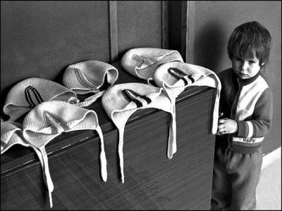 Фото novostivl.ru Фото novostivl.ru