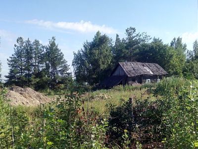 Вологодская деревня. Фото: Максим Собеский