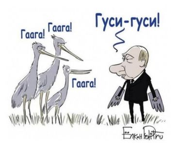 Путин-"главстерх" и Гаага. Карикатура С.Елкина: newsonline24.com.ua