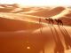Бедуины в пустыне. Фото: avatars.dzeninfra.ru